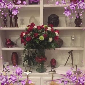 Meet your Posher, Andrea